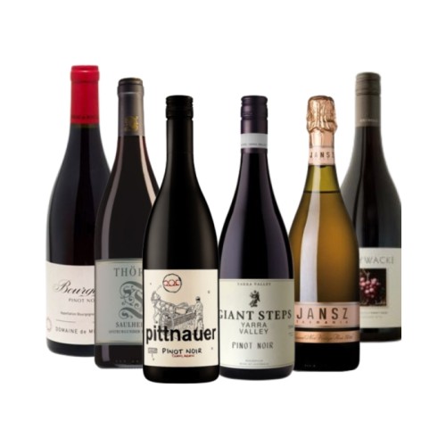 Classic Pinot Noir Case - Elegant & Silky