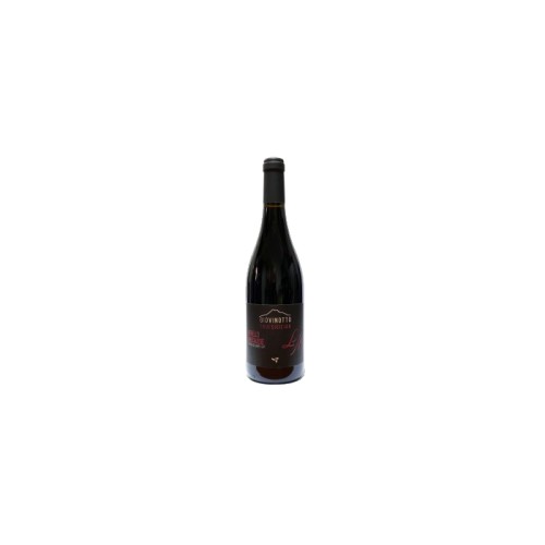 GioVinotto Nerello Mascalese PGI 2020