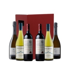 New Year's Eve 6 Bottle Case