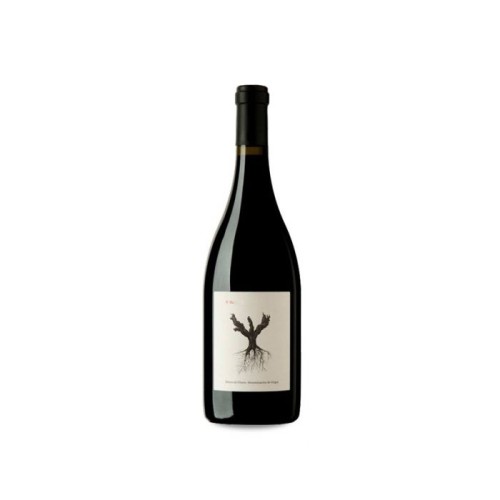 PSI Ribera del Duero Spain 2017