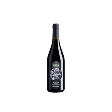 Paolo Cottini Valpolicella Ripasso Classico Superiore