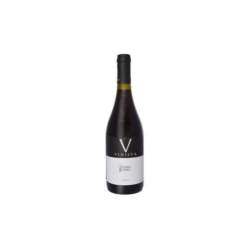 Pedro Parra `Vinista` Itata Valley Pais 2019