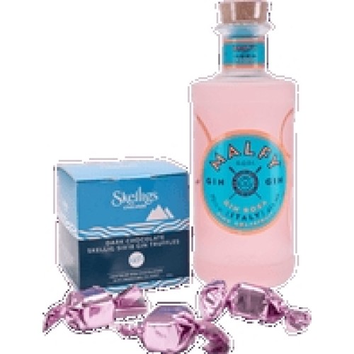 The Gincredible Gift Set