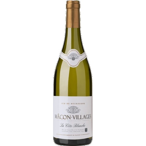 Cellar of Lugny MÃ¢con-Villages