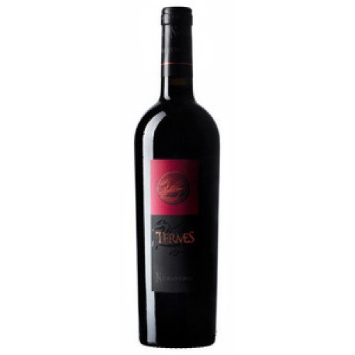Numanthia Termes Toro 2019