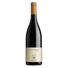 Nino Negri Sfursat Valtellina 2019