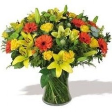 Spring arrrangement