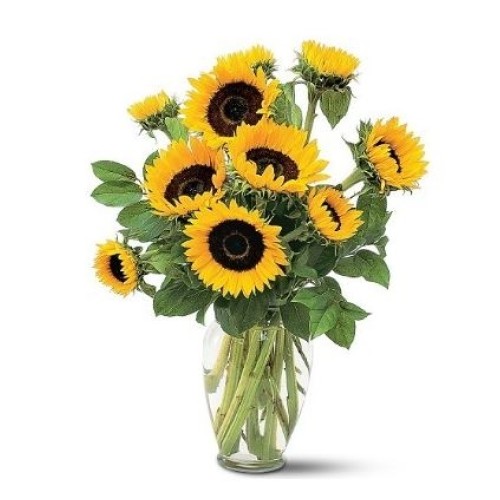 Sunflowers. Vase included
