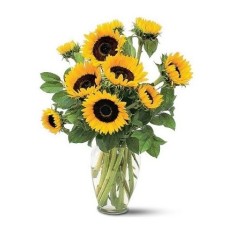 SUNFLOWERS. VASE INCLUDED