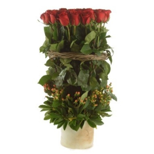 Ring of roses