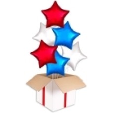 Foil Circles Jubilee Party Bouquets (2x Bunch of 6 Balloons (12 Balloons))
