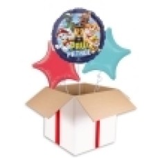 Best Wishes Painted Foil Balloon (3 Balloons Gift Boxed)