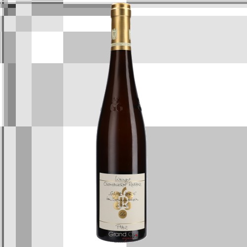 2021 Okonomierat Rebholz Riesling Ganz Horn Im Sonnenschein Grosses Gewachs