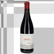 2019 Telmo Rodriguez Pegaso Barrancos de Pizarra (licht beschadigd)