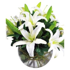 Beautiful Brita (As Shown)