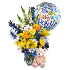 Baby Boy Surprise (Deluxe)