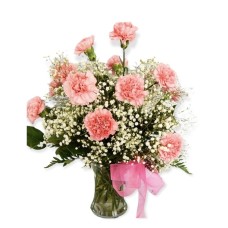 Cotton Candy Carnations (As Shown (12 carnations))