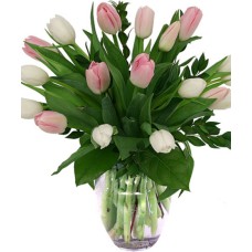 Blush of Spring (Standard)