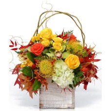 Bountiful Beauty (As Shown)