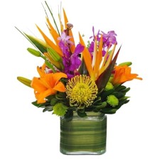 Bold Blooms (Starting At
Smaller, fewer flowers)