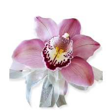 Celebration Corsage Signature Design (As Shown--single bloom)