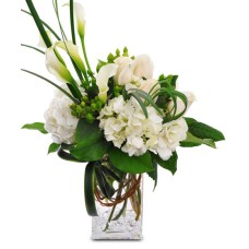 Crystal Blooms (Standard)