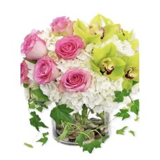 English Garden (Standard)