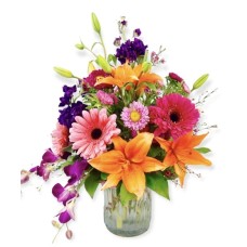 Floral Aurora (Standard)