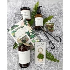 Plant Parent Gift Box (Deluxe)
