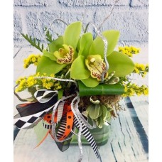 Green Goblin (Starting At -- Smaller, less blooms)