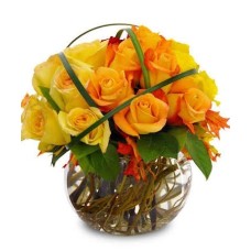 Harvest Gold (Starting At
smaller version than shown)