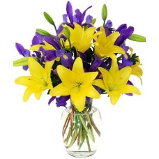 Iris Lily (Starting At
Smaller, fewer flowers)