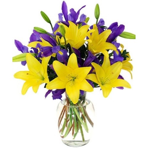 Iris Lily (Starting At
Smaller, fewer flowers)