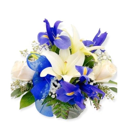Iris Snow Signature Design (Standard
As Shown)