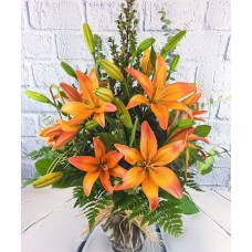 Lily Field (Deluxe)