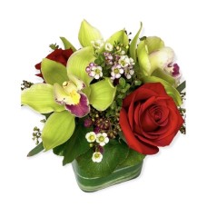 Mea Aloha (Starting At(2 Orchid & 1 Rose Blooms))