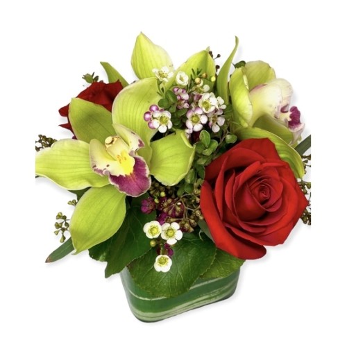 Mea Aloha (Starting At(2 Orchid & 1 Rose Blooms))