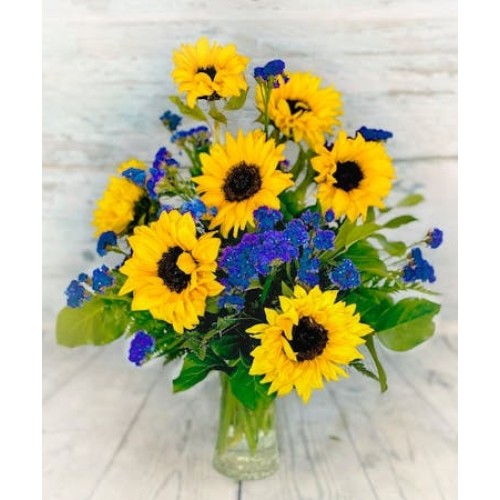 Midnight Sun (Starting At
Smaller, fewer flowers)