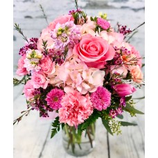 Pink Celebration (Premium)
