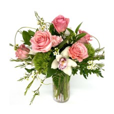 Pink Bubbly (Deluxe)