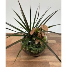 Green Globe (Deluxe
Larger size, more plants)