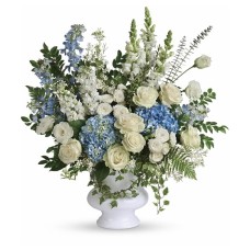 Precious One Sympathy Arrangement (Deluxe)