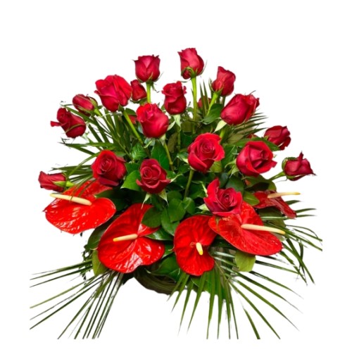 Hula Girl (Starting At (12Roses and Anthurium))