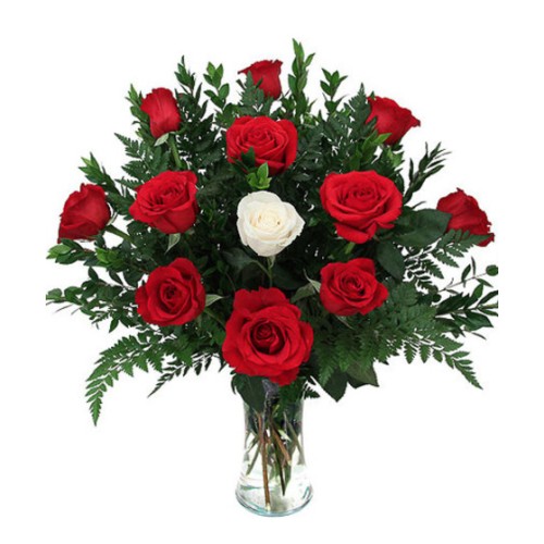 My One True Love (As Shown(12 Roses))