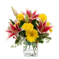 Scented Sunshine (Deluxe)