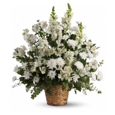 Serene Simplicity Sympathy Arrangement (Deluxe)