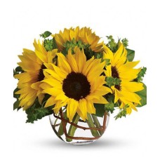 Sunny Sunflowers (Deluxe)