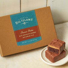 Milk Chocolate Covered Peanut Butter Brownies