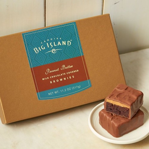 Milk Chocolate Covered Peanut Butter Brownies
