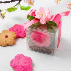 Limited Time Only! Sakura (Cherry Blossom) Shortbread Cube